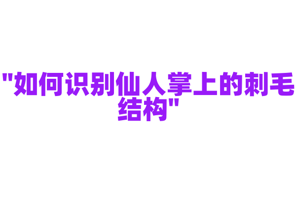 "如何识别仙人掌上的刺毛结构"
